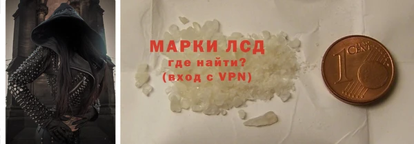 шишки Белокуриха
