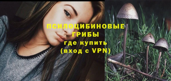 гидропоника Балабаново