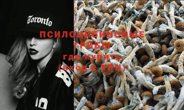 гидропоника Балабаново