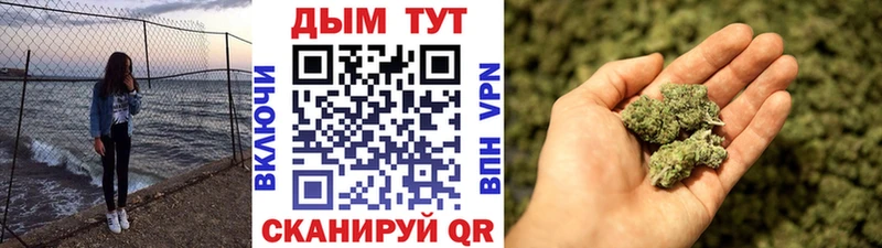 Бошки марихуана сатива Верея